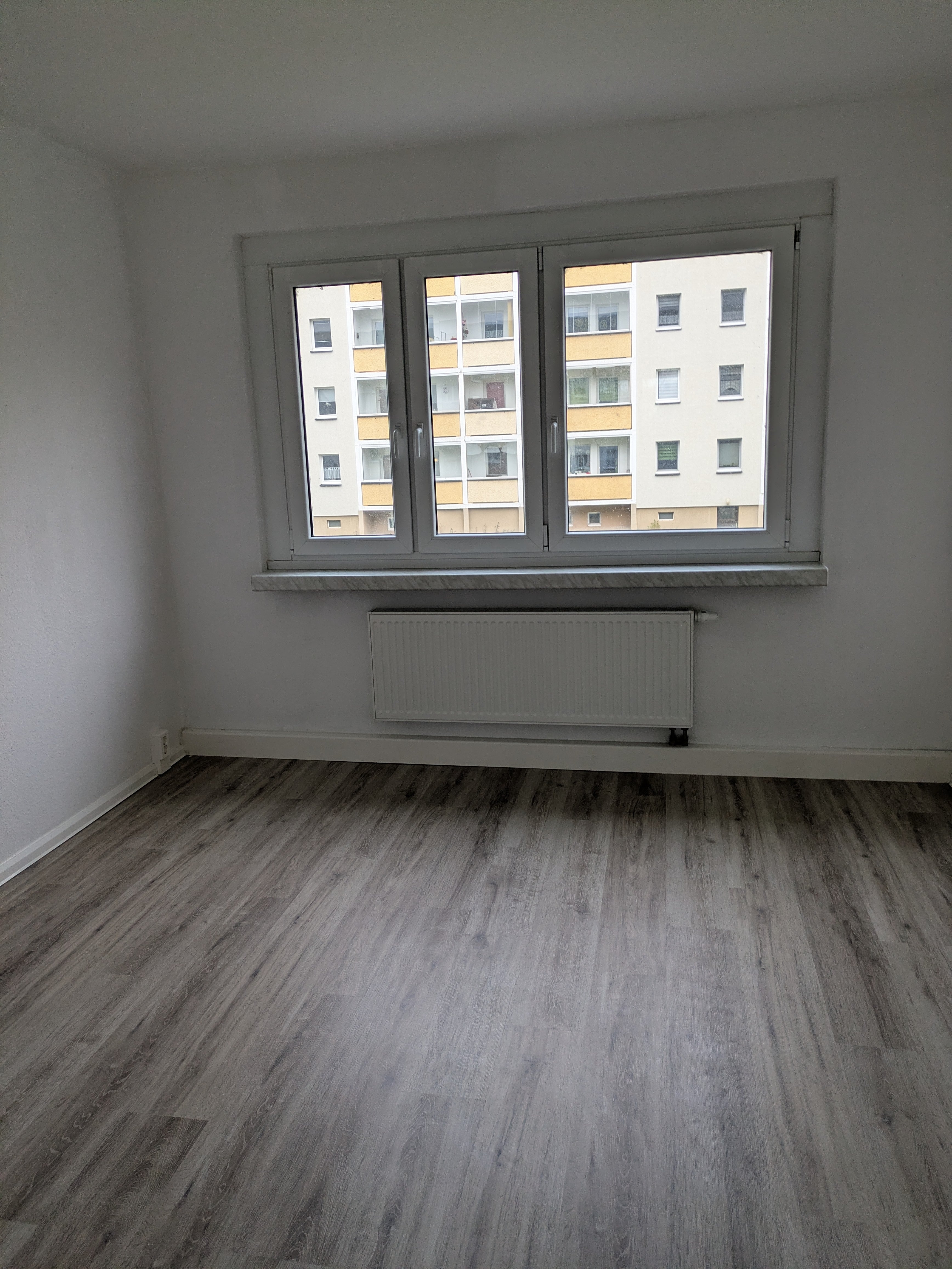 PXL 20251111 080657851 min